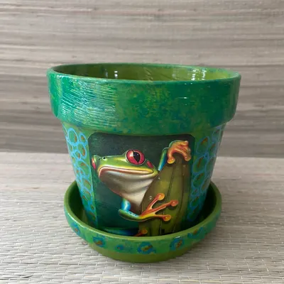 Pot Grenouille Curieuse