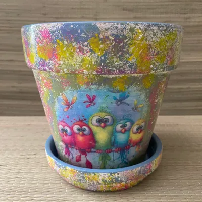 Pot Les Oiseaux Rigolos